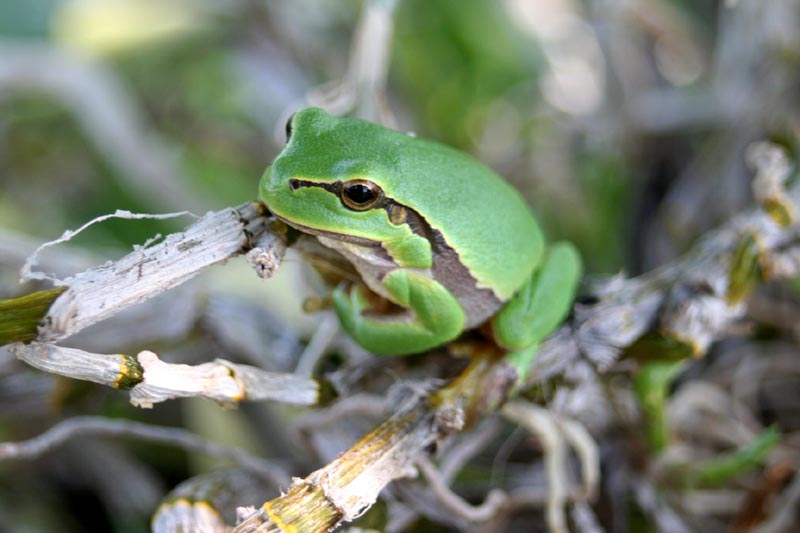 Killikus&reg; Fotographie